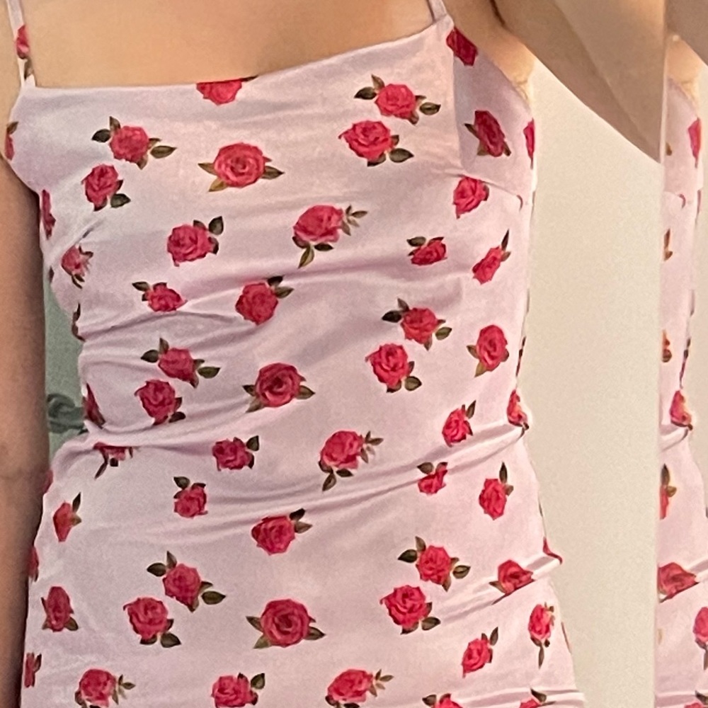NWOT Urban Outfitters | Rose Printed Satin Mini Dress